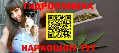 прущие крисы Усть-Илимск