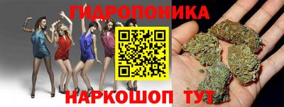 mdpv Усть-Джегута