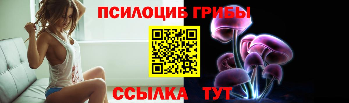Междуреченск  Псилоцибиновые грибы Cubensis  Псилоцибиновые грибы Psilocybine cubensis  Вход с VPN 